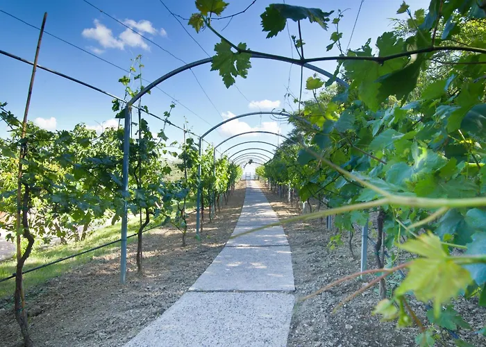 Agriturismo Il Vecchio Mandorlo Perugia